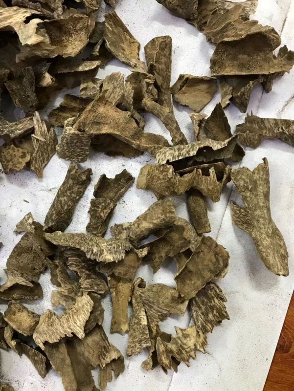 Qualität Teeauto Weihrauch Aloesholz Authentische natürliche vietnamesische Hui'An Altes Material Aromatherapie Block Holzsplitter Fabrik