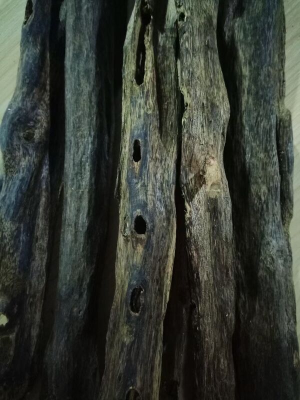 গুণমান Natural OUD Agarwood resin with deep rich aroma excellent for crafting perfumes incense and traditional healing products কারখানা