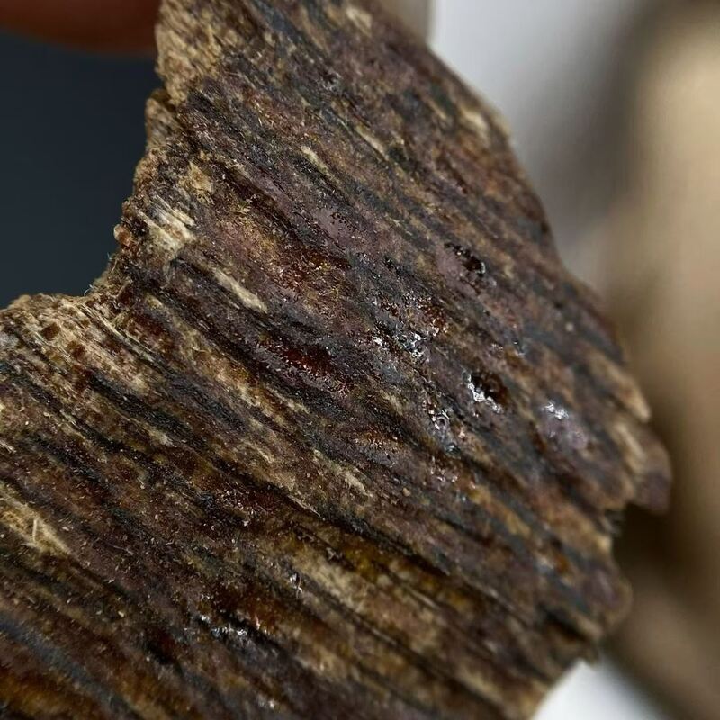 Quality High grade OUD Agarwood aromatic wood suitable for luxury perfume production and traditional incense making industries factory