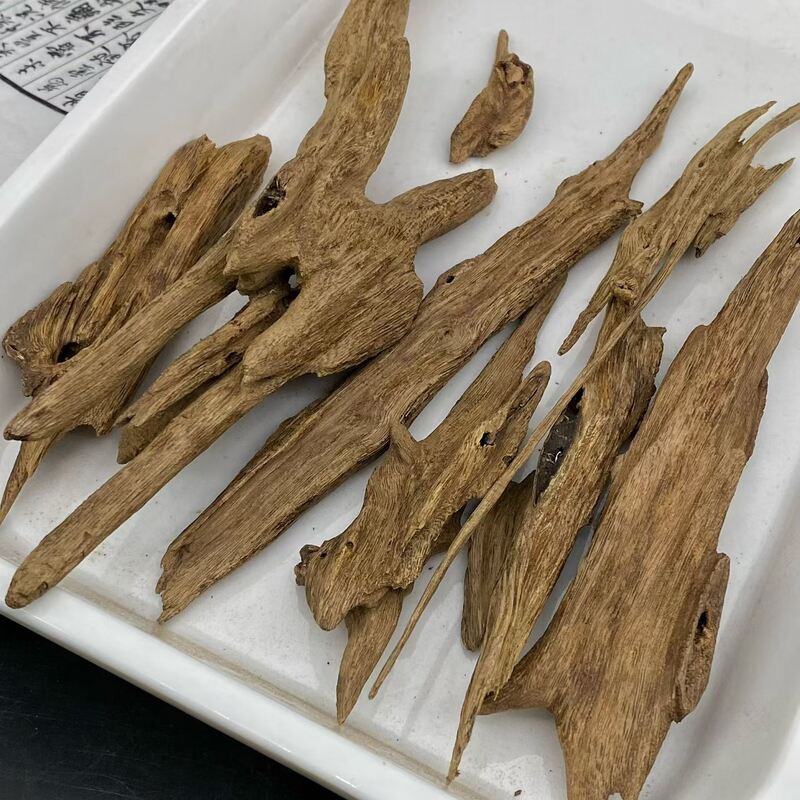 Quality Pure OUD Agarwood raw material sourced sustainably for essential oil extraction and high end perfume manufacturing needs factory