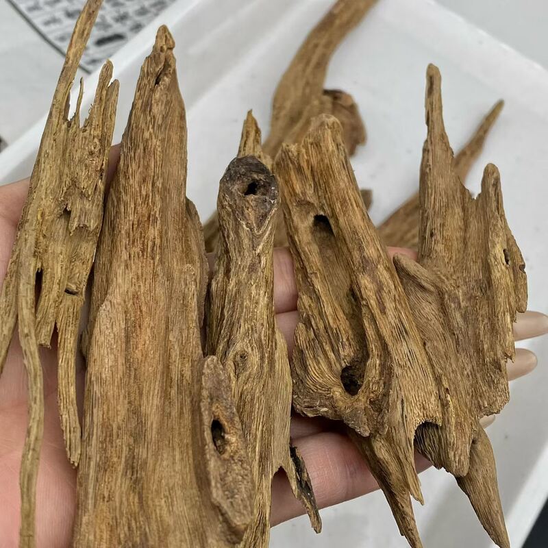 Quality Pure OUD Agarwood raw material ideal for essential oil extraction and high end perfume manufacturing processes factory
