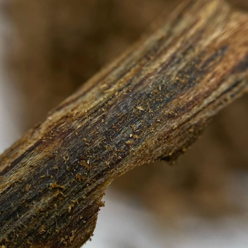 Quality Exclusive OUD Agarwood resin material used extensively in high end perfumes incense and natural therapeutic preparations factory