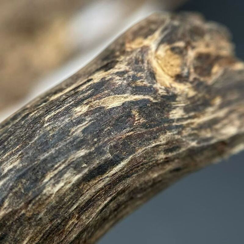 Quality Exclusive OUD Agarwood resin material used extensively in high end perfumes incense and natural therapeutic preparations factory