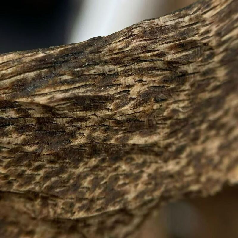 Качество grade OUD Agarwood natural fragrant wood used in high end perfumery incense manufacturing and holistic wellness products фабрика