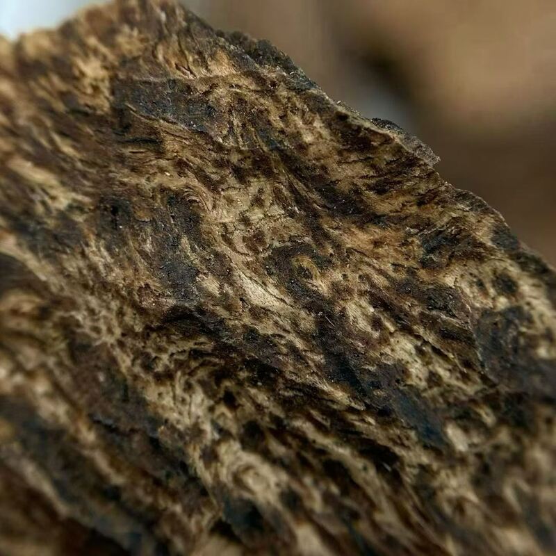 Quality grade OUD Agarwood natural fragrant wood used in high end perfumery incense manufacturing and holistic wellness products factory