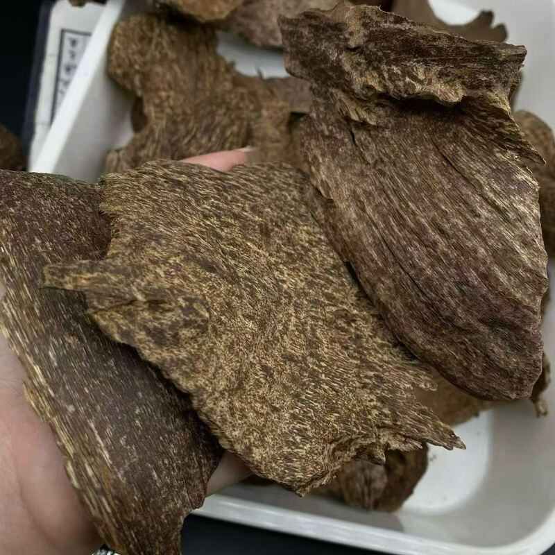 Quality grade OUD Agarwood natural fragrant wood used in high end perfumery incense manufacturing and holistic wellness products factory