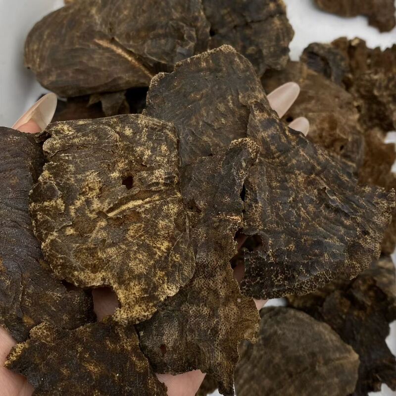 Quality Bulk supply of authentic OUD Agarwood chips and powder ideal for perfume manufacturing and traditional incense crafting factory
