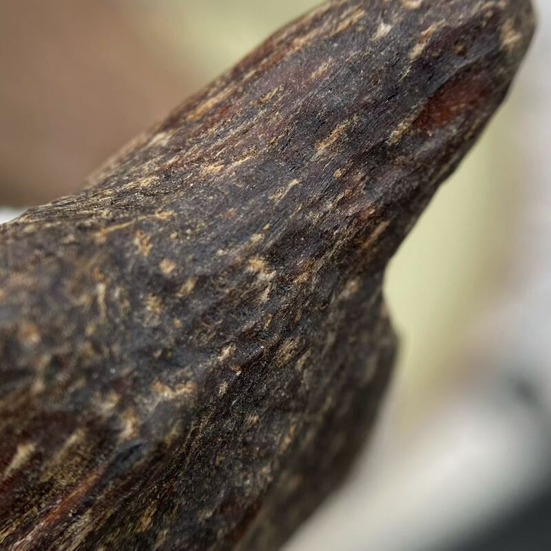 Quality Authentic OUD Agarwood natural aromatic wood chips designed for perfume industry incense production and wellness products factory
