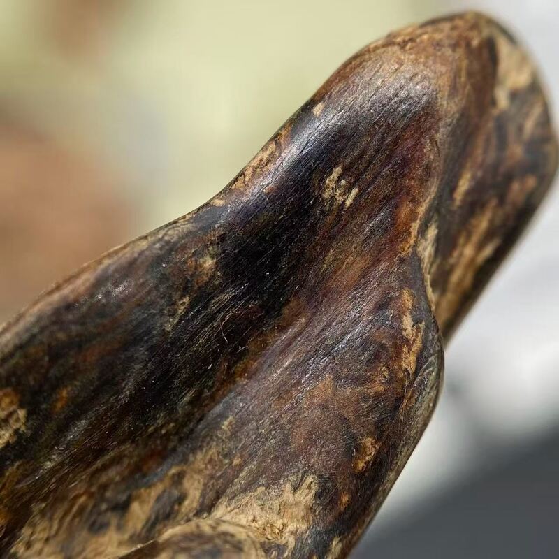Quality Natural OUD Agarwood aromatic resin perfect for blending into high end perfumes incense sticks and wellness formulations factory