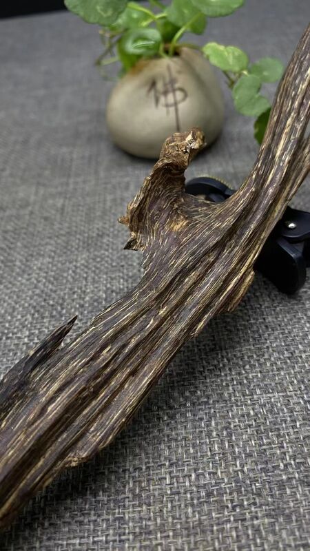 Quality Natural OUD Agarwood resin raw material ideal for perfume industry incense making and traditional medicinal applications factory