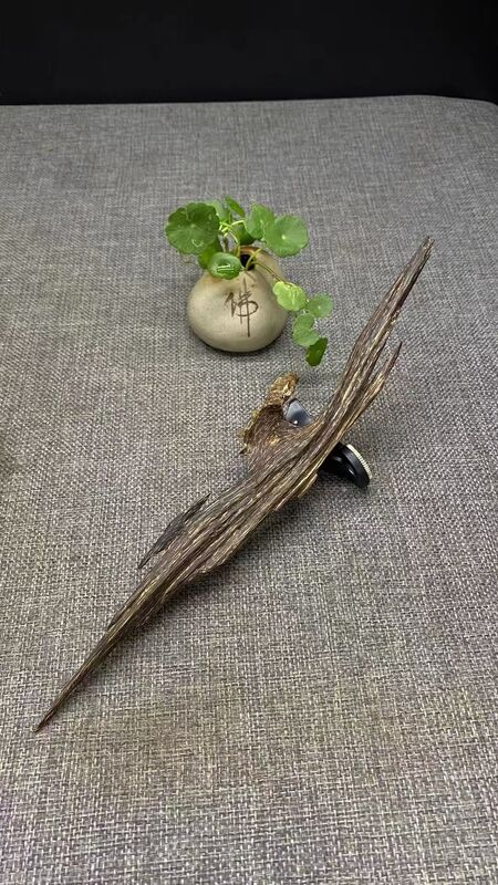 Quality Natural OUD Agarwood resin raw material ideal for perfume industry incense making and traditional medicinal applications factory