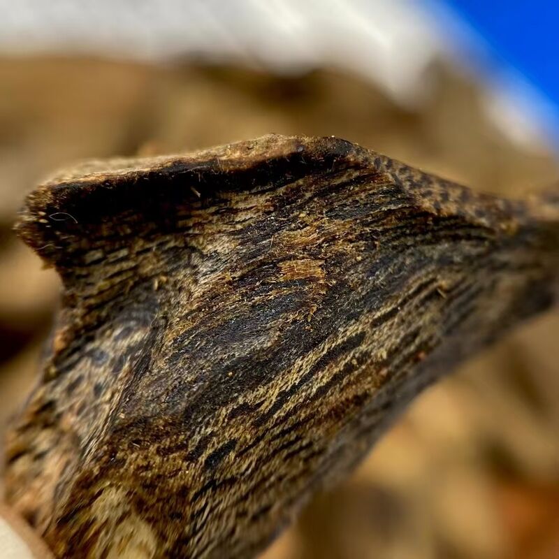 Quality Bulk OUD Agarwood natural agarwood wood and resin for essential oil extraction perfume and incense product manufacturing factory