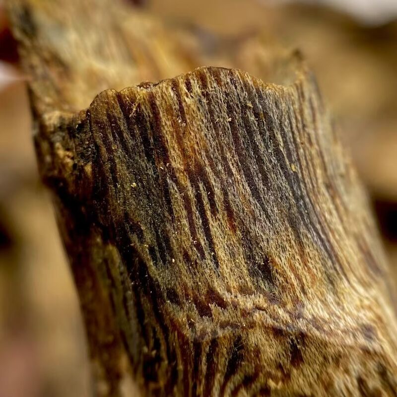 Ποιότητα Bulk OUD Agarwood natural agarwood wood and resin for essential oil extraction perfume and incense product manufacturing εργοστάσιο