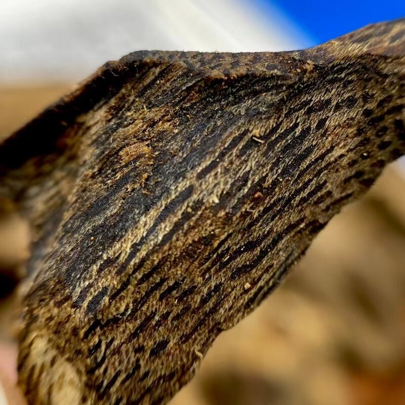Quality Bulk OUD Agarwood natural agarwood wood and resin for essential oil extraction perfume and incense product manufacturing factory