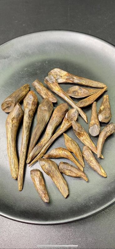 Quality Natural OUD Agarwood raw material ideal for essential oil extraction and high end fragrance manufacturing processes factory