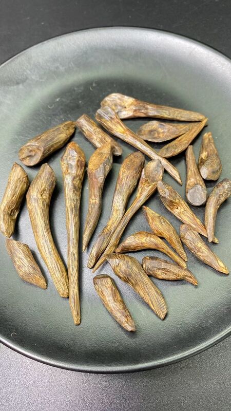 Quality Natural OUD Agarwood raw material ideal for essential oil extraction and high end fragrance manufacturing processes factory