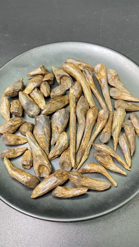 Quality Natural OUD Agarwood raw material ideal for essential oil extraction and high end fragrance manufacturing processes factory