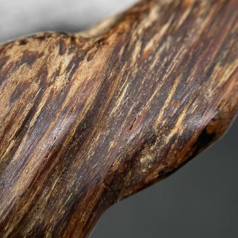 Quality Pure OUD Agarwood raw material ideal for perfume manufacturing incense making and traditional medicine industries worldwide factory