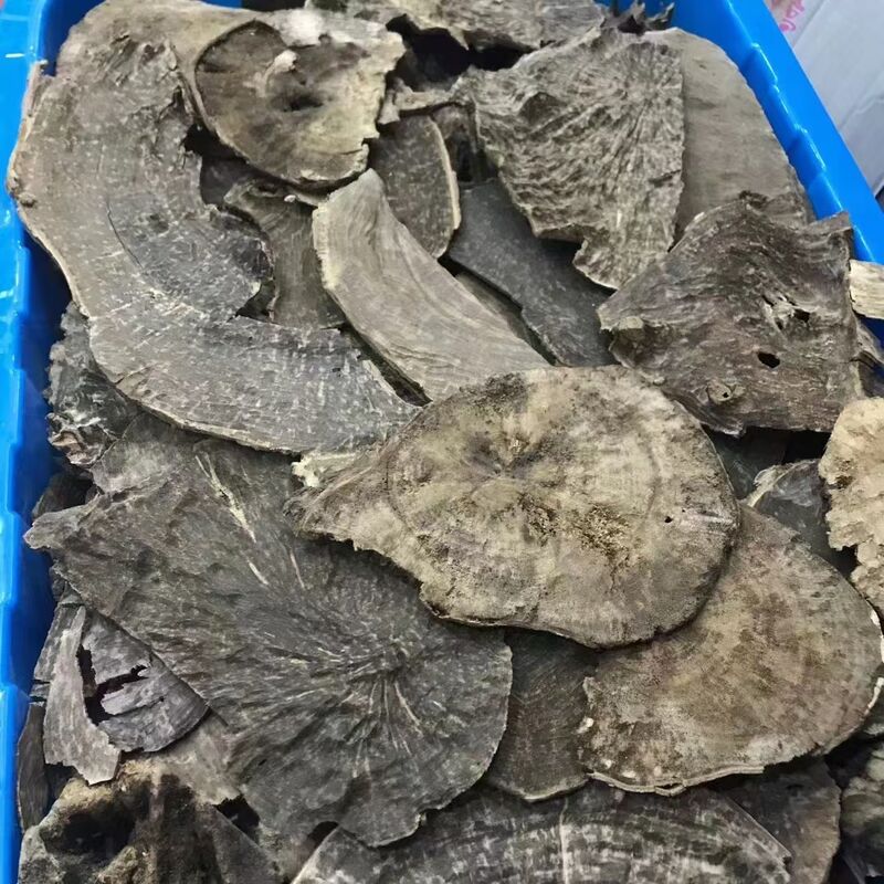 Quality Natural OUD Agarwood raw material ideal for essential oils incense and high end perfume manufacturing industries globally factory