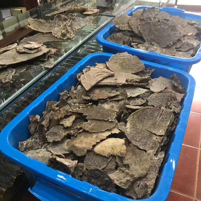 Quality Natural OUD Agarwood raw material ideal for essential oils incense and high end perfume manufacturing industries globally factory
