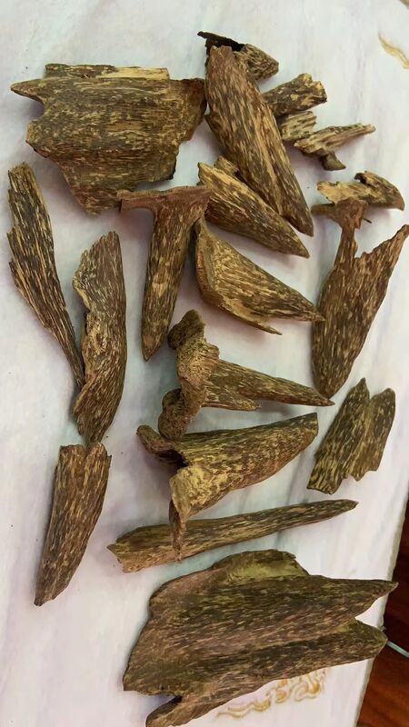 Quality Pure natural OUD Agarwood resin with rich aroma suitable for perfume production incense making and aromatherapy products factory
