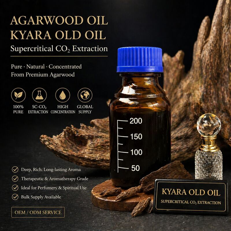 Quality Kynam Old Oil Supercritical CO2 Extraction Steam Distilled Natural Agarwood factory