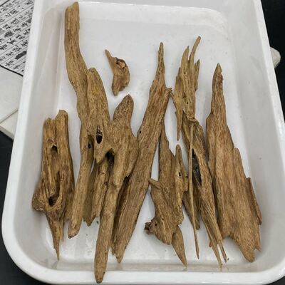 Quality Natural OUD Agarwood resin raw material for essential oil extraction perfume making and incense manufacturing industries factory
