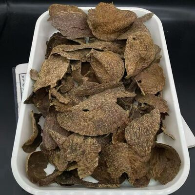 Quality High grade OUD Agarwood aromatic wood suitable for luxury perfume production and traditional incense making industries factory