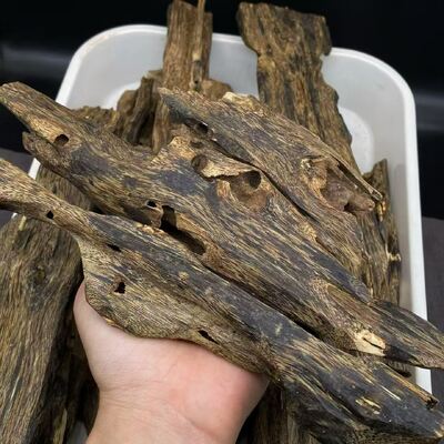 Quality Bulk supply of OUD Agarwood raw wood and resin for manufacturing incense oils perfumes and therapeutic aromatic products factory