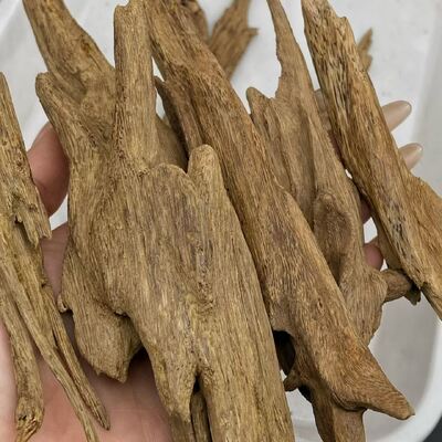 Quality Pure OUD Agarwood raw material sourced sustainably for essential oil extraction and high end perfume manufacturing needs factory