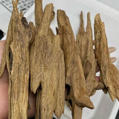 Quality Pure OUD Agarwood raw material sourced sustainably for essential oil extraction and high end perfume manufacturing needs factory