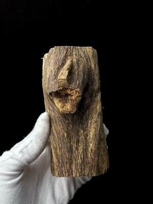 Quality Natural OUD Agarwood resin prized for its unique scent used in luxury perfume manufacturing incense and wellness products factory