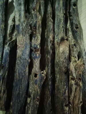 Quality Top grade OUD Agarwood natural resin rich wood suitable for crafting exquisite perfumes incense sticks and aromatic oils factory