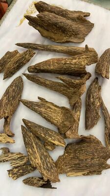 Quality Fineness OUD Agarwood for Special Occasions Raw Ingredients Other Occasion Special Occasions factory
