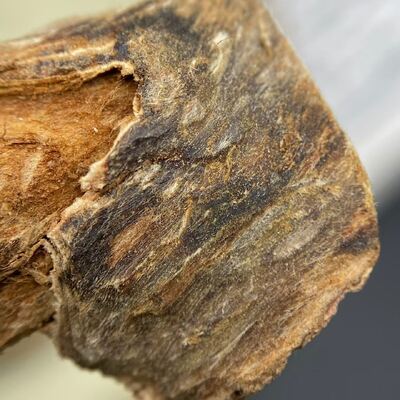 Quality High grade OUD Agarwood resin perfect for essential oil extraction perfume manufacturing and aromatic incense production factory