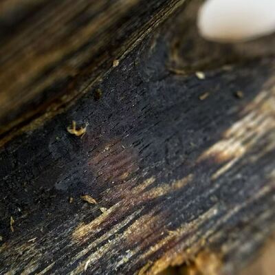 Quality High grade OUD Agarwood resin perfect for essential oil extraction perfume manufacturing and aromatic incense production factory