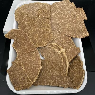 Quality Natural OUD Agarwood resin and essential oil ideal for in perfume production incense making and holistic health products factory