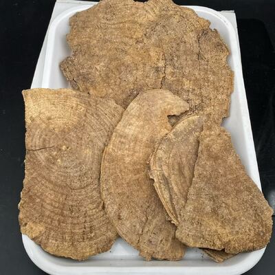 Quality Natural OUD Agarwood resin and essential oil ideal for in perfume production incense making and holistic health products factory