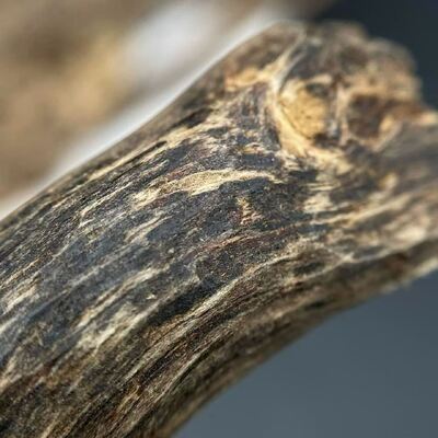 Quality Exclusive OUD Agarwood resin material used extensively in high end perfumes incense and natural therapeutic preparations factory