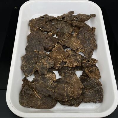 Quality Bulk supply of authentic OUD Agarwood chips and powder ideal for perfume manufacturing and traditional incense crafting factory