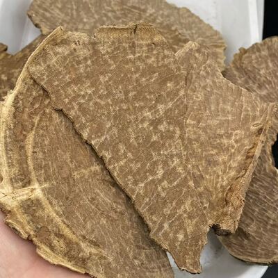 Quality Pure natural OUD Agarwood wood pieces and resin for crafting perfumes incense sticks and aromatic therapeutic products factory