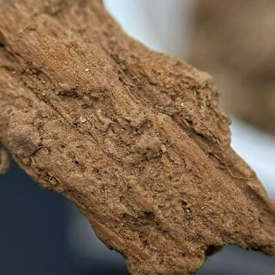 جودة Pure OUD Agarwood resin aromatic natural material ideal for perfume incense and traditional healing product manufacturing مصنع