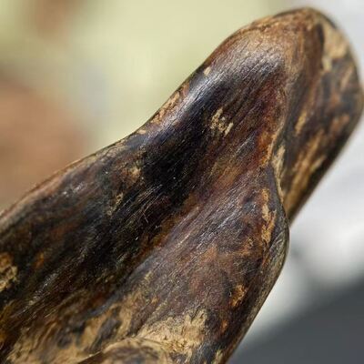 Quality Natural OUD Agarwood aromatic resin perfect for blending into high end perfumes incense sticks and wellness formulations factory