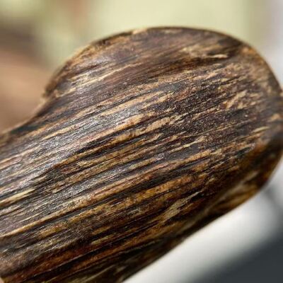 qualidade Natural OUD Agarwood aromatic resin perfect for blending into high end perfumes incense sticks and wellness formulations fábrica