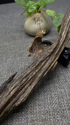 Quality Natural OUD Agarwood resin raw material ideal for perfume industry incense making and traditional medicinal applications factory
