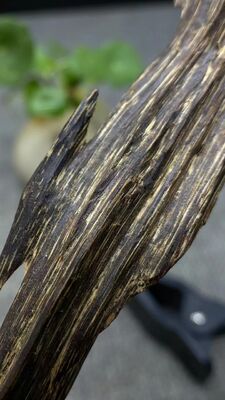 Quality Natural OUD Agarwood resin raw material ideal for perfume industry incense making and traditional medicinal applications factory