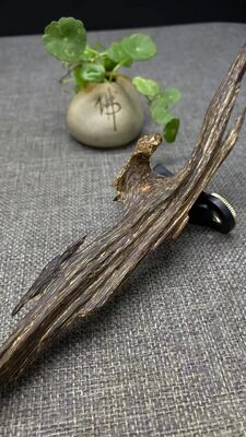 Quality Natural OUD Agarwood resin raw material ideal for perfume industry incense making and traditional medicinal applications factory
