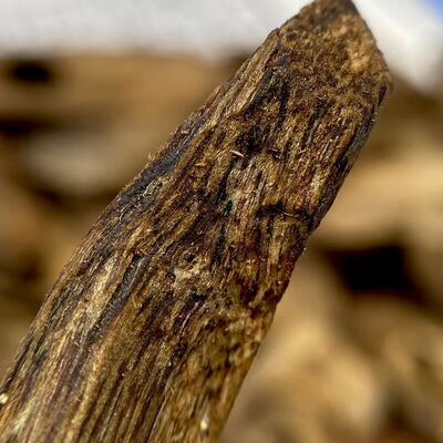 Quality Bulk OUD Agarwood natural agarwood wood and resin for essential oil extraction perfume and incense product manufacturing factory