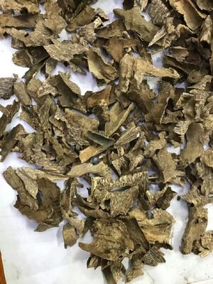 جودة Premium Grade A Agarwood Chips — Natural OUD | Bulk Wholesale | China Factory مصنع