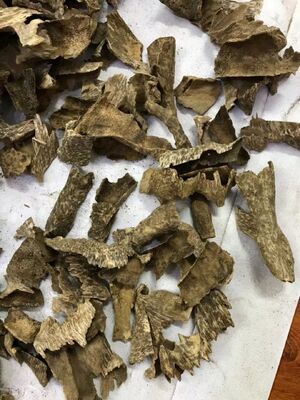 جودة Premium Grade A Agarwood Chips — Natural OUD | Bulk Wholesale | China Factory مصنع